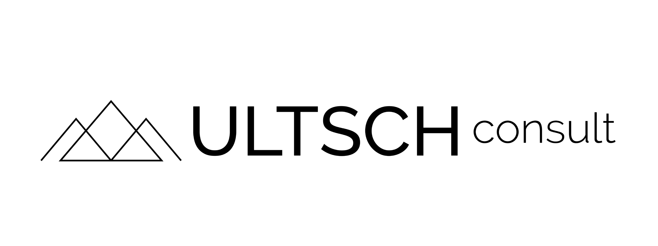 Ultsch Consult-Logo